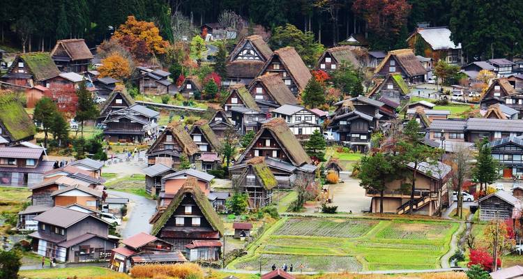 Visiones de Japón con Osaka - Globus 8