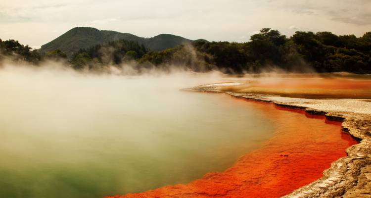 Dampfender orange- und türkisfarbener Champagne Pool in einem geothermischen Tal mit bewaldeten Hügeln in der Ferne