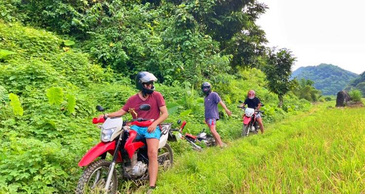 Des gens à moto dans une zone verdoyante luxuriante.