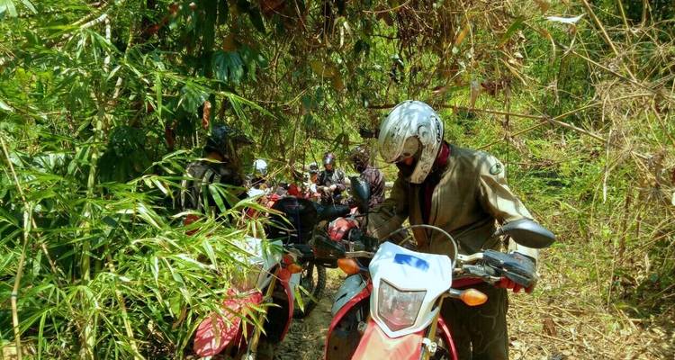 Groupe de motocyclistes sur un sentier forestier dense.