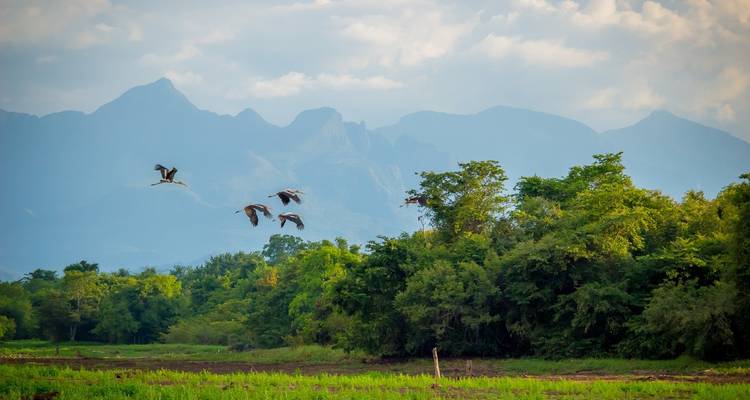 Bird Watching Tour in Sri Lanka - Holiday Lanka Tours 1