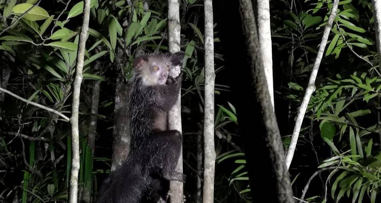 Viaje en grupo Expedición a Madagascar de 18 días salida 2025 (especial para viajeros mayores) - HT Agency Tours 4