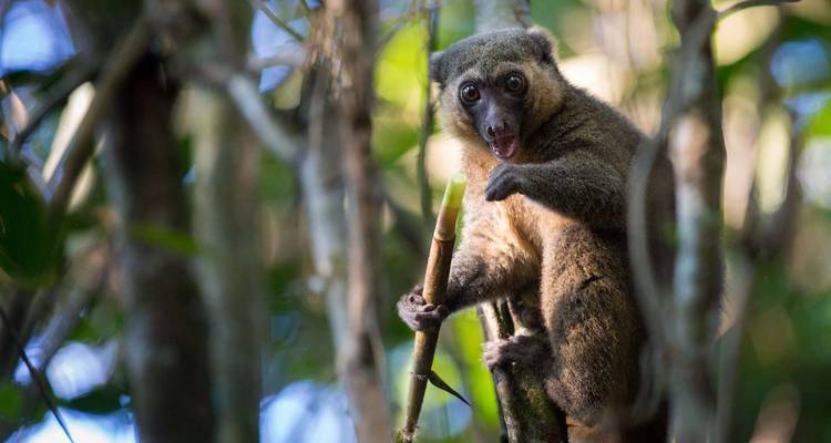 Viaje en grupo Expedición a Madagascar de 18 días salida 2025 (especial para viajeros mayores) - HT Agency Tours 7