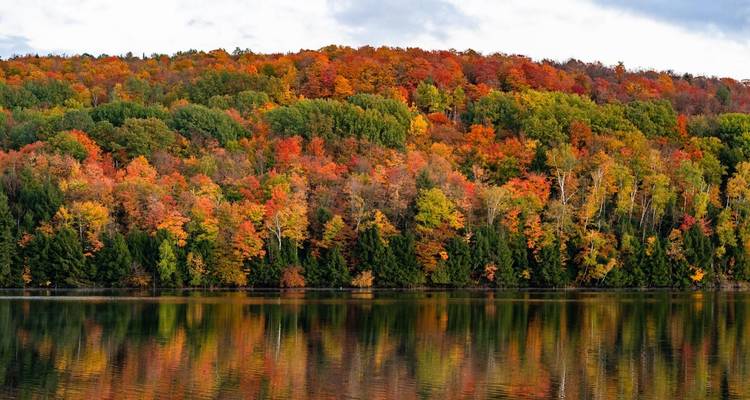 Colours of New England - Omega Tours 4