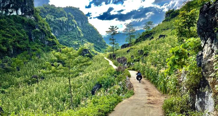Ein malerischer Bergpfad, umgeben von üppiger grüner Vegetation, mit einer Person, die Fahrrad fährt.