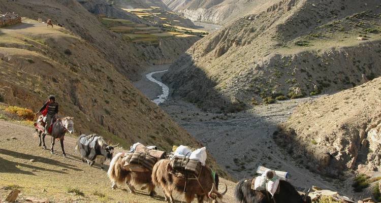 Trek du bas Dolpo - Nepal Social Treks 2