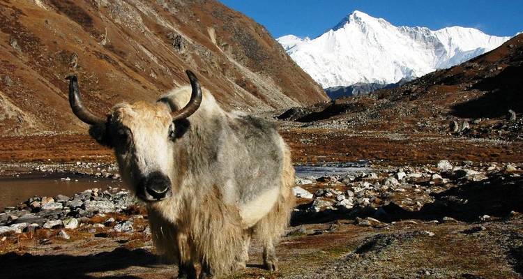 Trek du bas Dolpo - Nepal Social Treks 3