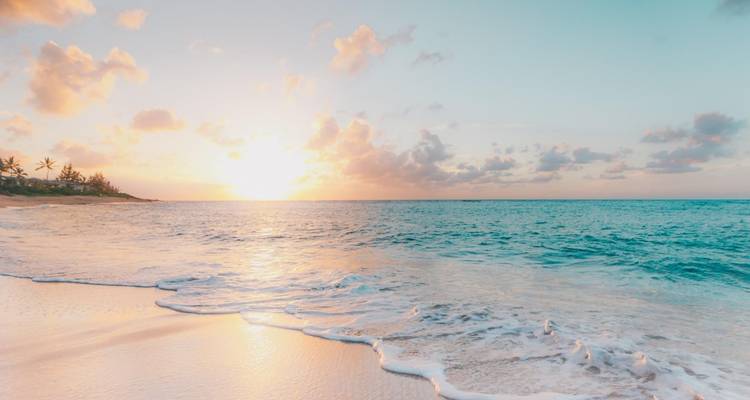 Aloha Discovery - Option Honolulu avec billet d'avion - Omega Tours 1