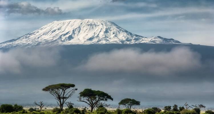 Le Mont Kilimandjaro aux sommets enneigés se dressant au-dessus des plaines brumeuses parsemées d'acacias aux cimes plates.