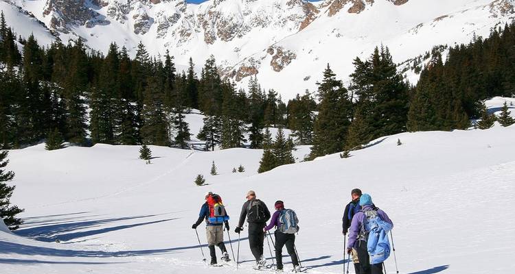 Treks hivernales et raquettes dans le parc national des Rocheuses - Intrepid Travel 5