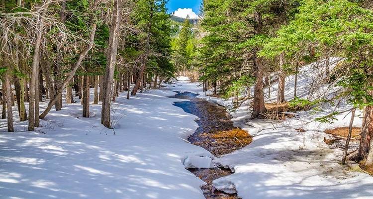 Treks hivernales et raquettes dans le parc national des Rocheuses - Intrepid Travel 6