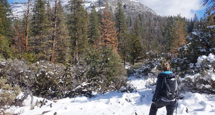 Winter Hiking and Snowshoeing in Yosemite - Intrepid Travel 4