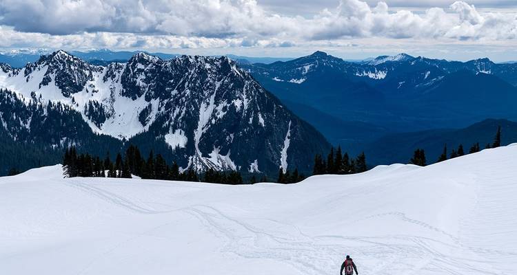 Randonnée hivernale et raquettes dans les parcs nationaux Olympic et Mt Rainier - Intrepid Travel 5