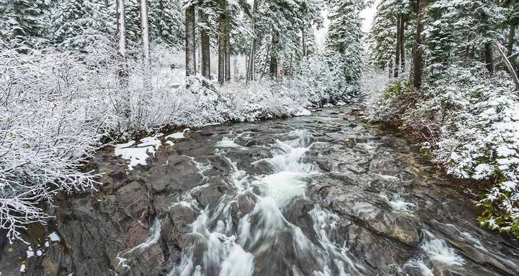 Randonnée hivernale et raquettes dans les parcs nationaux Olympic et Mt Rainier - Intrepid Travel 3