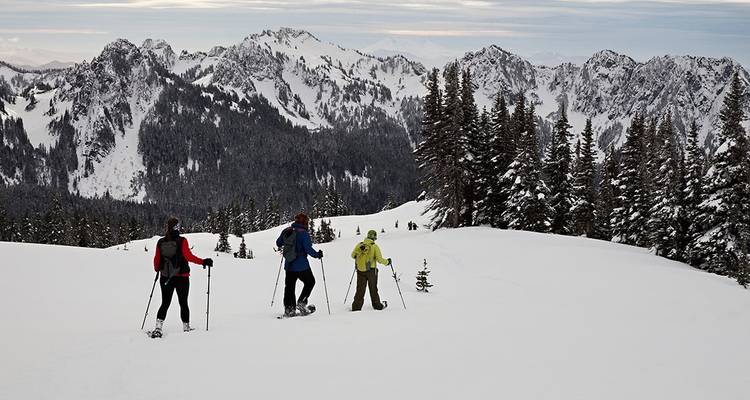 Randonnée hivernale et raquettes dans les parcs nationaux Olympic et Mt Rainier - Intrepid Travel 6