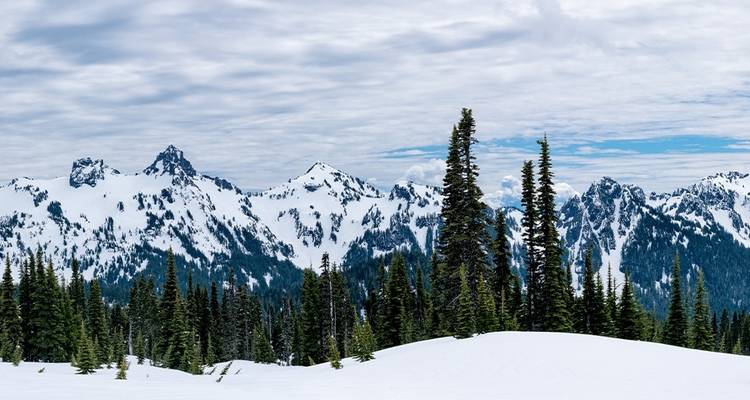 Randonnée hivernale et raquettes dans les parcs nationaux Olympic et Mt Rainier - Intrepid Travel 7