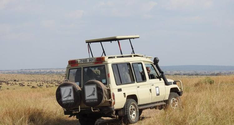 5 jours - Lac Manyara, Serengeti et cratère du Ngorongoro - Lappet Faced Safaris 6