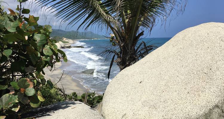 Private Service I Nature Lovers: Medellín, Tayrona & Cartagena — Domestic Flight Included - The Colombian Trip 2