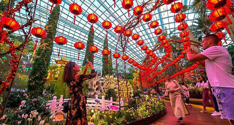 Customized Singapore & Phuket Family Holiday Package, Daily Depart - Agate Travel 6