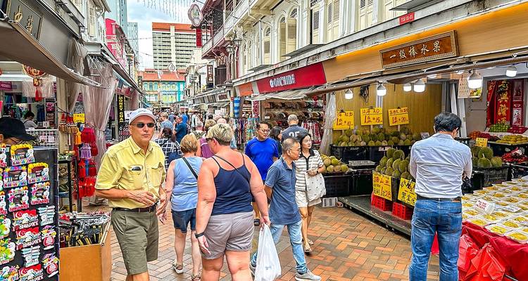 Tailor-Made Singapore & Malaysia Tour, Daily Start & Private Guide - Agate Travel 7