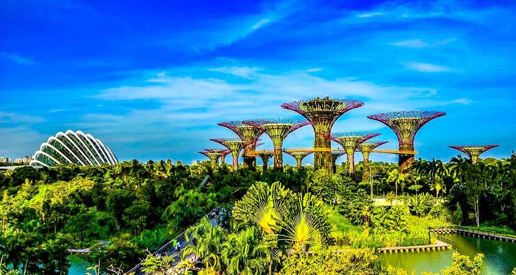 Tailor-Made Singapore & Malaysia Tour, Daily Start & Private Guide - Agate Travel 6