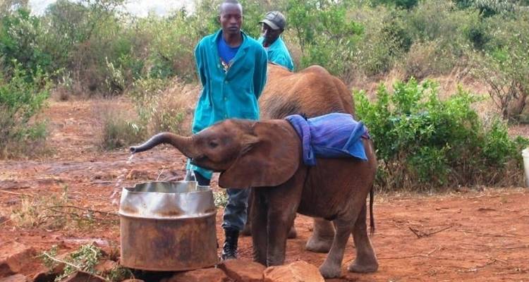 Fes to Nairobi (38 WEEKS) Trans Africa - Oasis Overland 4