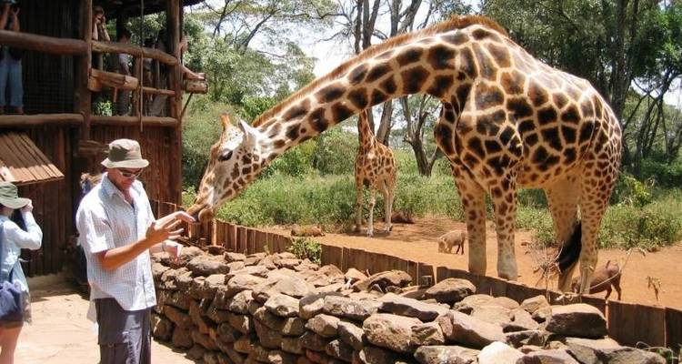 Fes to Nairobi (38 WEEKS) Trans Africa - Oasis Overland 6