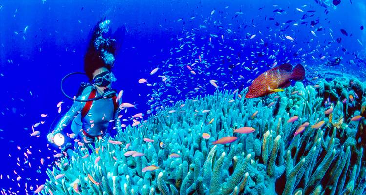 Tailor-Made Best Philippines Tour with Daily Departure & Private Guide - Agate Travel 2