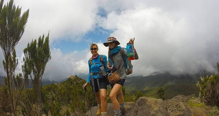 Ascension du Kilimandjaro en 7 jours via la route Machame plus 2 jours de safari (tous les hébergements et transports sont inclus) - Spider Tours and Safaris 3