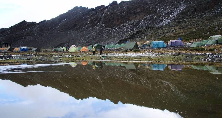 Ascension du Kilimandjaro en 7 jours via la route Machame plus 2 jours de safari (tous les hébergements et transports sont inclus) - Spider Tours and Safaris 7