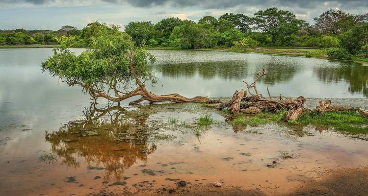 Itinéraire de 3 semaines au Sri Lanka - Holiday Lanka Tours 3