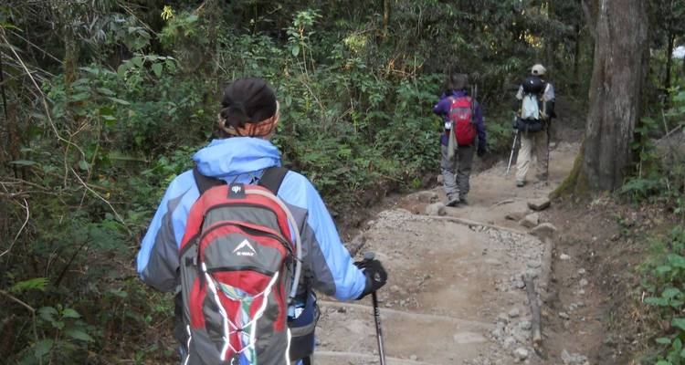 Nochevieja en la cima del Kilimanjaro (todo el alojamiento y el transporte están incluidos) - Spider Tours and Safaris 7