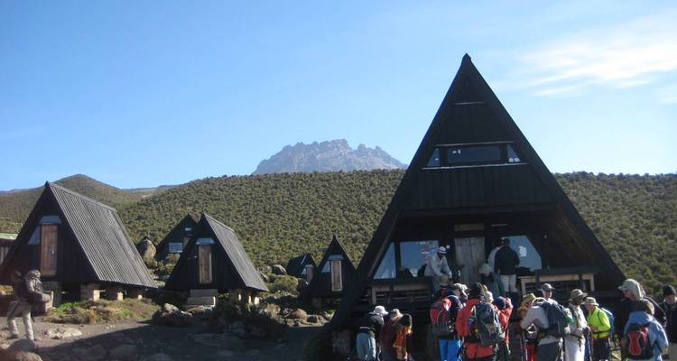 Ascenso al monte Kilimanjaro cumbre de año nuevo - alojamiento y transporte incluidos - Spider Tours and Safaris 4