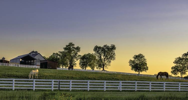 Nashville & the Smoky Mountains Holiday featuring Gatlinburg & Asheville (Nashville, TN to Asheville, NC) - Collette 3