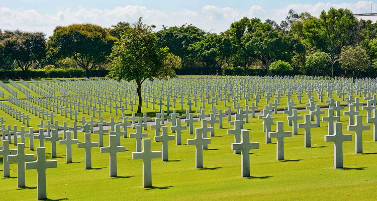 Cementerio extenso con filas de lápidas de cruces blancas.