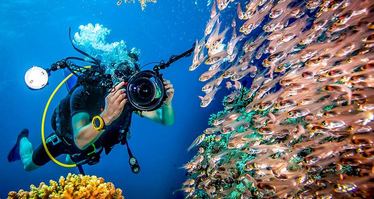 Customized Cebu & Bohol Adventure, Daily Departure & Private Guide - Agate Travel 1