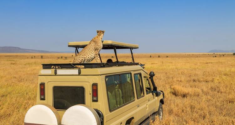 Safari combiné Kenya et Tanzanie - RajaTours Tanzania 2