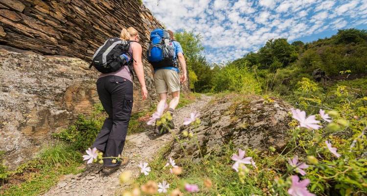 Two backpackers hike up a rocky flower-lined trail beneath a partly cloudy sky.