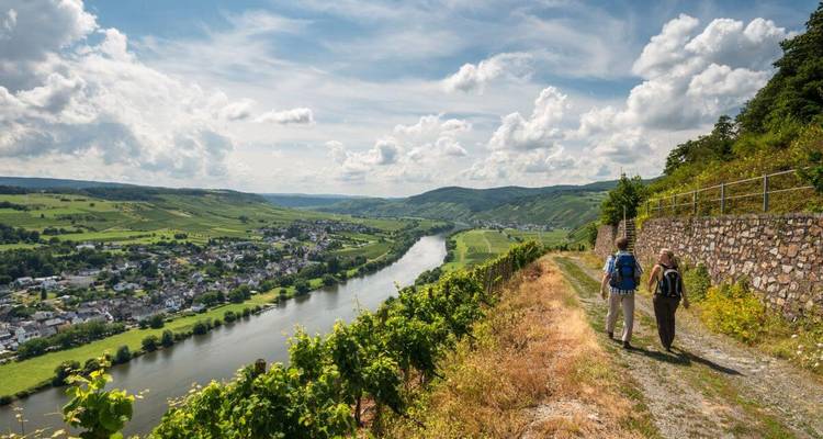Hikers follow a vineyard path overlooking the winding Moselle River and patchwork villages.