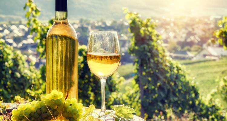 Bouteille de vin blanc, un verre, et des raisins avec vue sur le vignoble.