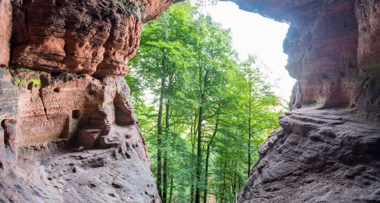 La abertura de una cueva de arenisca enmarca un exuberante paisaje forestal verde en la región de Eifel.