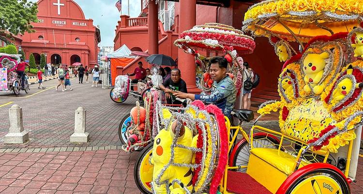 Personalized Malaysia Holiday Package, Daily Start & Private Car - Agate Travel 9