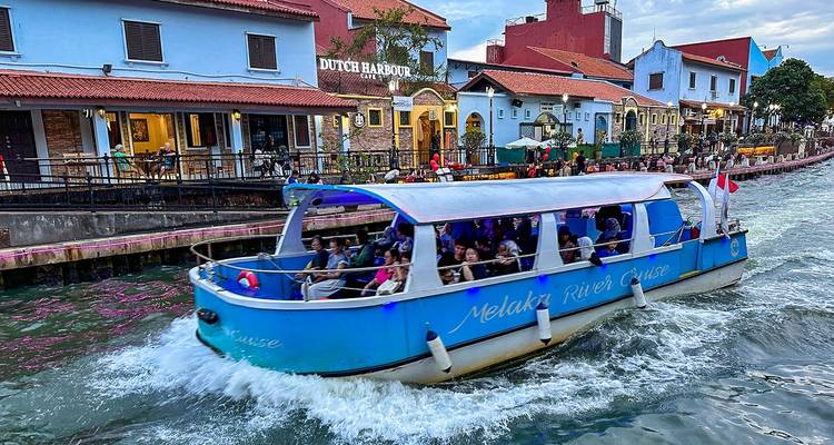 Personalized Malaysia Holiday Package, Daily Start & Private Car - Agate Travel 4