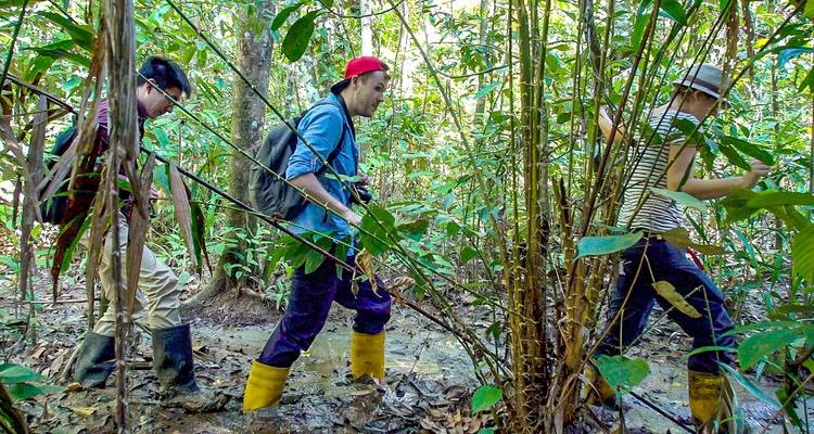 Customized Malaysia Borneo Wildlife Adventure, Daily Start - Agate Travel 6