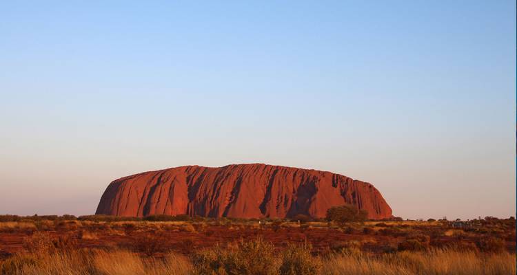 Uluru’s red sandstone monolith stands under a clear blue sky with arid shrubs in the foreground.