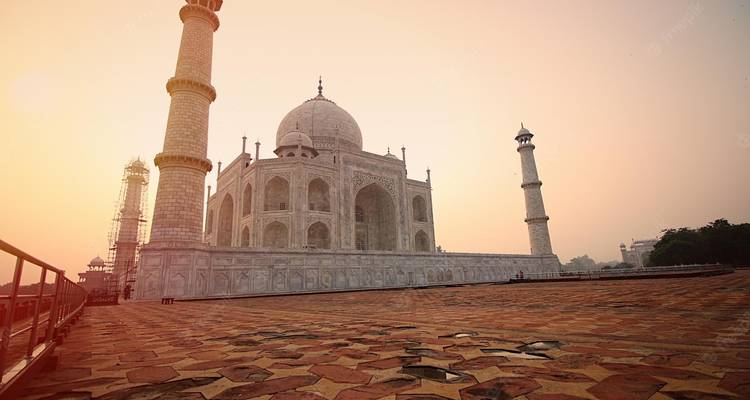 Au départ de Delhi : Circuit privé de 4 jours avec safari des tigres et Triangle d'Or avec hôtels - Travel Creators Of India 1