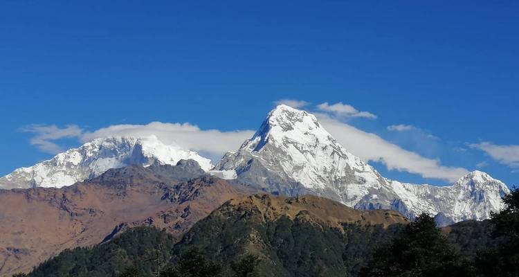 Annapurna Base Camp Trek 11 Days - Sherpa Expedition Teams 8