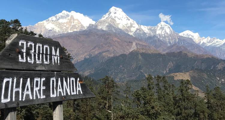 Trek du camp de base de l'Annapurna 11 jours - Sherpa Expedition Teams 10