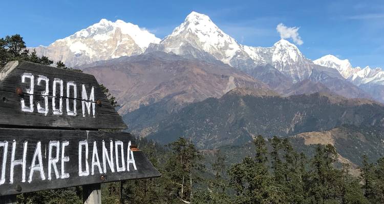 Annapurna Base camp Trek 8 days - Sherpa Expedition Teams 4
