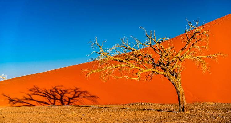 Tailor-Made Best Namibia Family Tours with Safari, Private Guide - Agate Travel 1